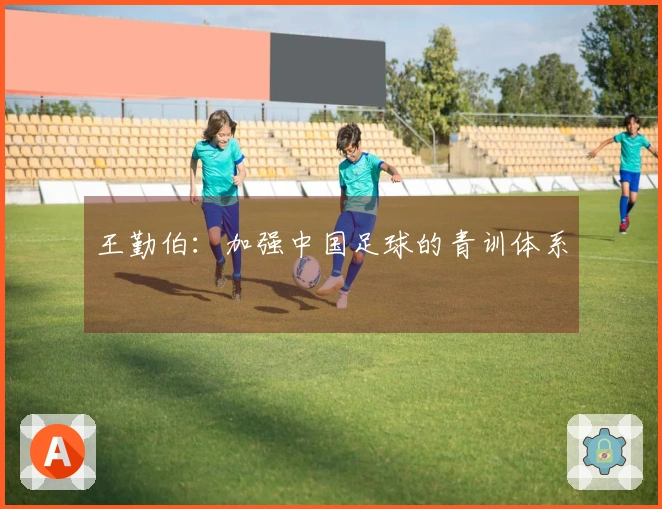 王勤伯：加强中国足球的青训体系