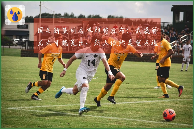 国足新集训名单即将发布:武磊蒋光太可能复出,新人依然是重点选拔对象